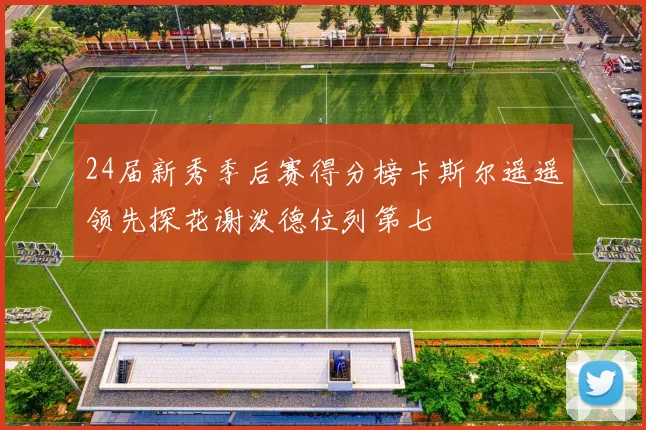 24届新秀季后赛得分榜卡斯尔遥遥领先探花谢泼德位列第七