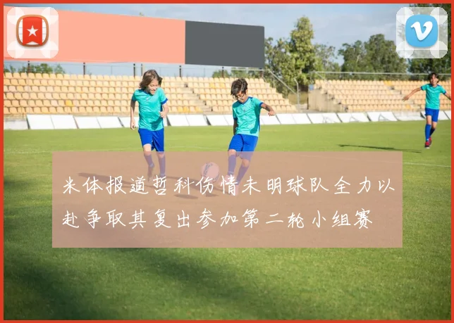 米体报道哲科伤情未明球队全力以赴争取其复出参加第二轮小组赛